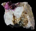Roselite Crystals on Dolomite - Morocco #57148-1